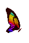 farfalla arcobaleno.gif